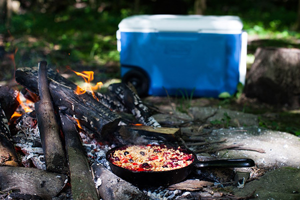 triple-berry-campfire-crisp-and-the-joy-of-eating-local-4