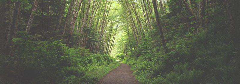 Best of Canada - Best Hiking Trail - Galloping Goose Trail