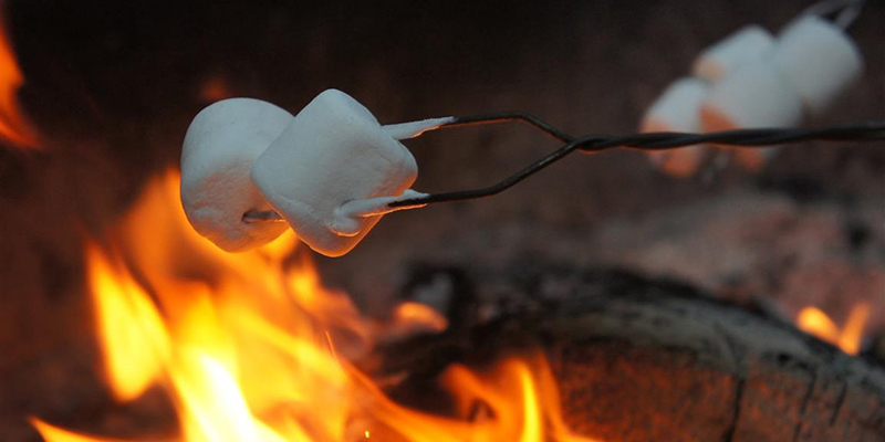 Coleman-Get-Outside-Day-Backyard-Roasting-Marshmellows-1