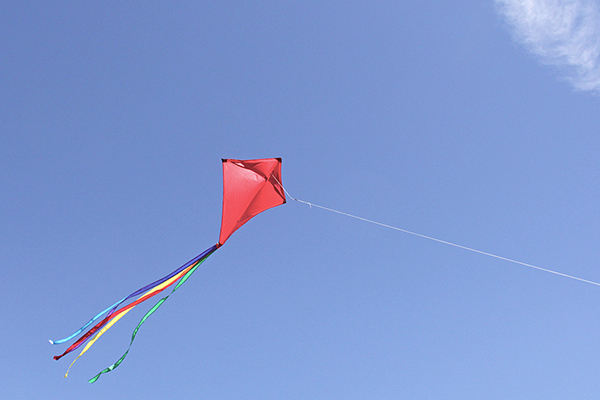 fly-a-kite-3